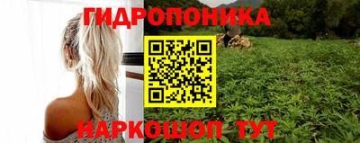 кокс Кулебаки