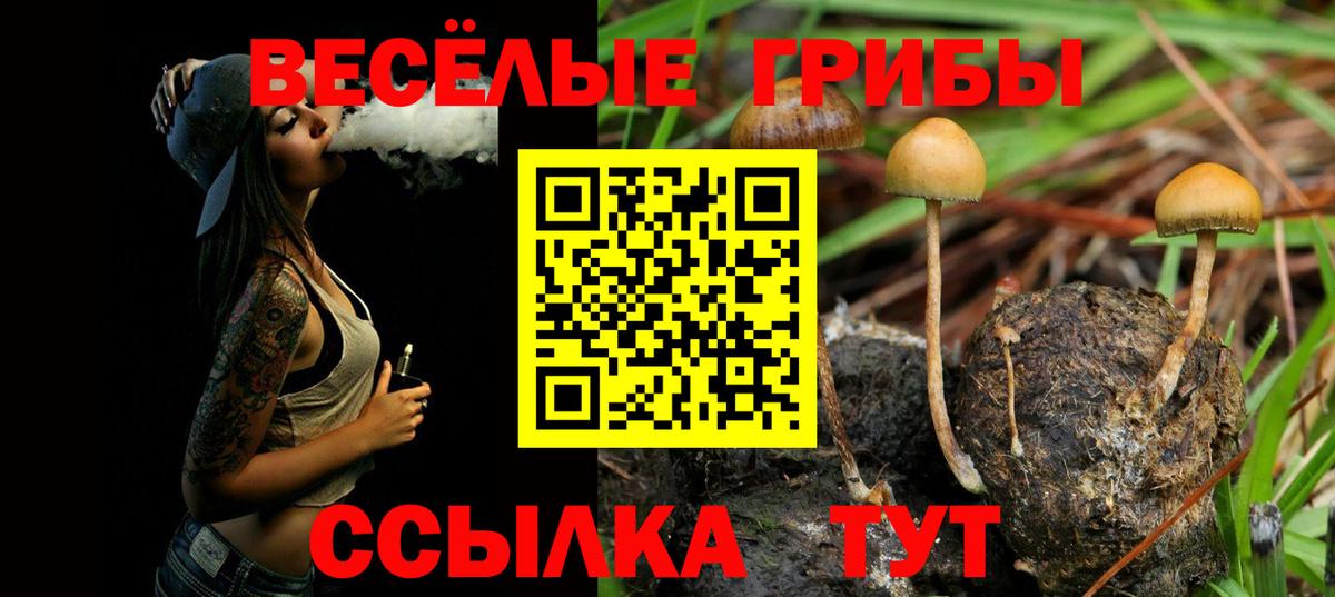 Галлюциногенные грибы Cubensis Волжск